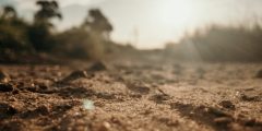 نعيم القبر