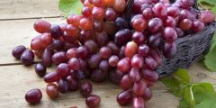 العنب في القرآن الكريم: دلالات روحية وعلمية