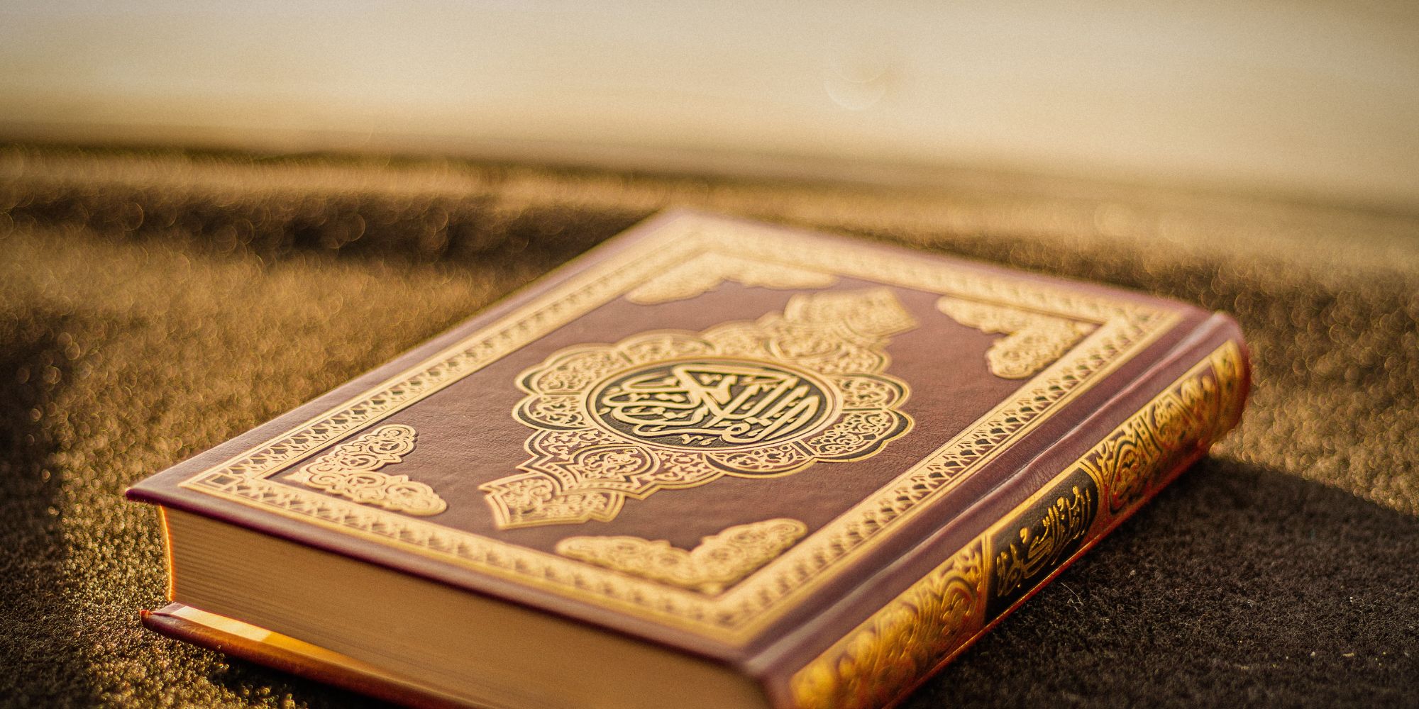 ألم تر إلى الذي حاج إبراهيم في ربه