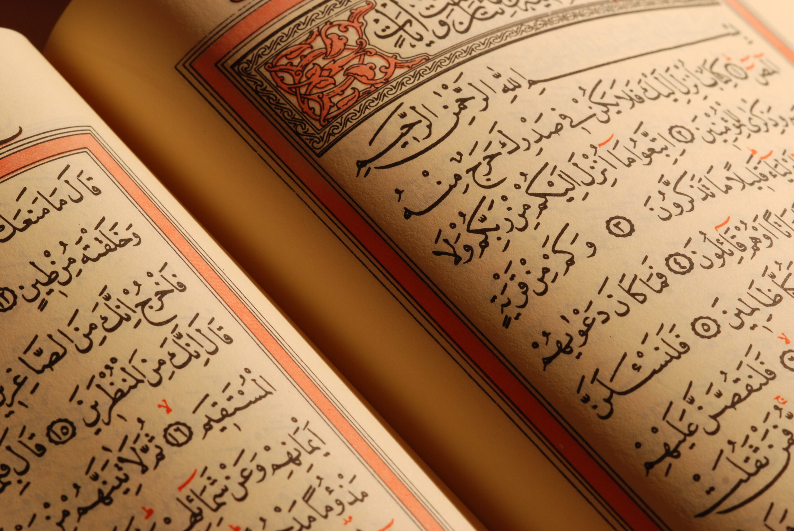 سورتي النساء والمائدة