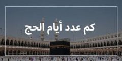 عدد أيام الحج