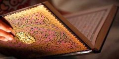 الفرق بين الكافر والمشرك