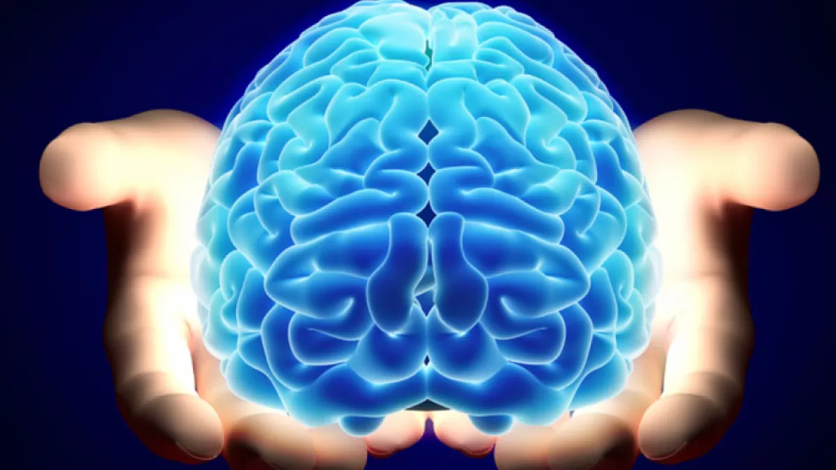 الإنسان والعقل