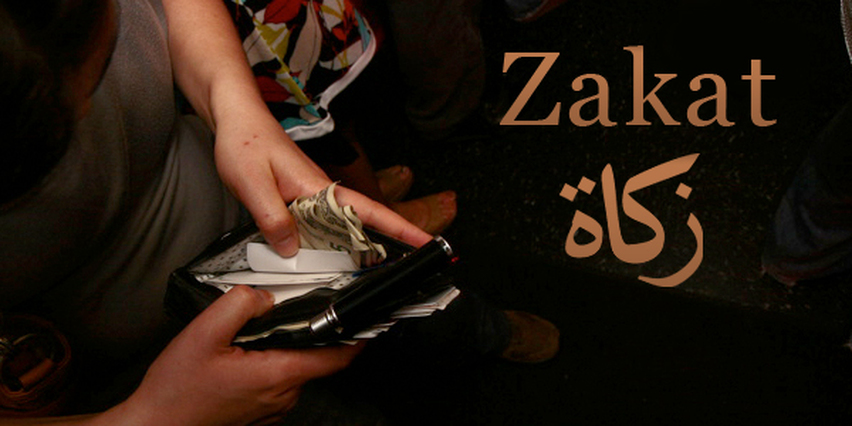 كم مرة ذكرت الزكاة في القرآن الكريم
