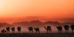 الهجرة في الإسلام