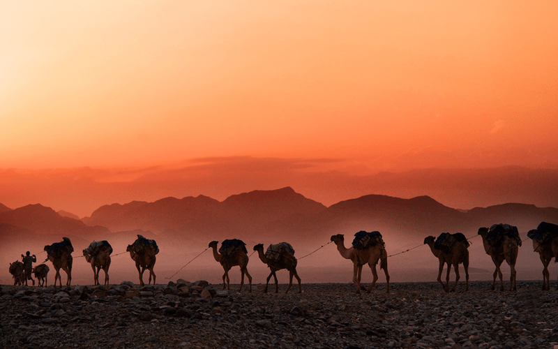 الهجرة في الإسلام