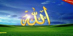 أهمية التوحيد لحياة الفرد