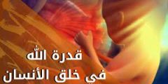 قدرة الله في خلق الإنسان