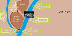 أين يقع الوادي المقدس طوى