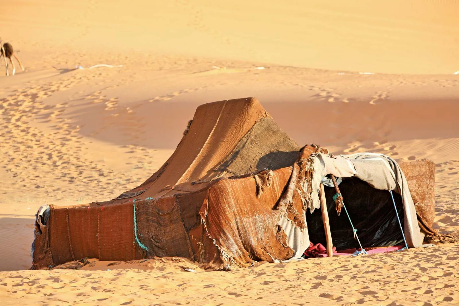 الدولة الرستمية