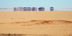 السراب