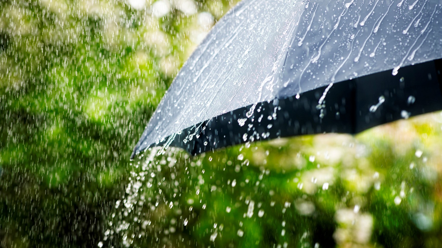 معجزة تشكل الغيوم ونزول المطر