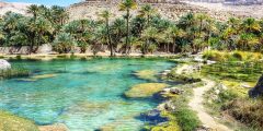 عودة جزيرة العرب مروجًا وأنهارًا