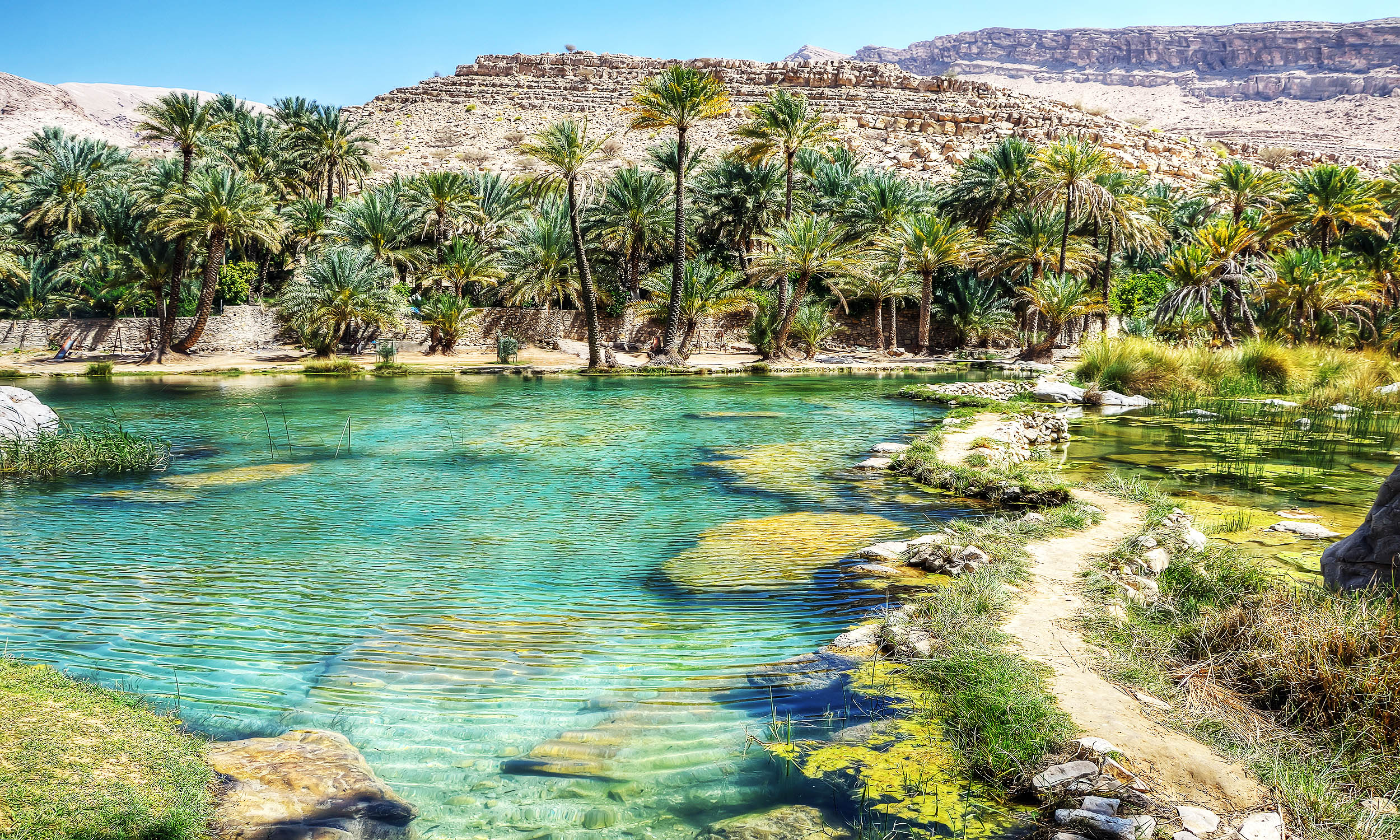 عودة جزيرة العرب مروجًا وأنهارًا