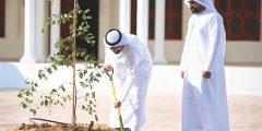 غرس الشجر وحفر البئر في المسجد