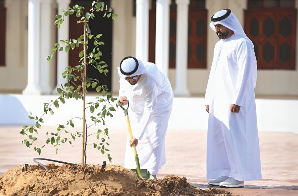 غرس الشجر وحفر البئر في المسجد