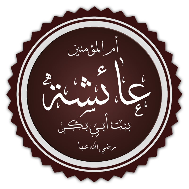 عدد الأحاديث المروية عن السيدة عائشة