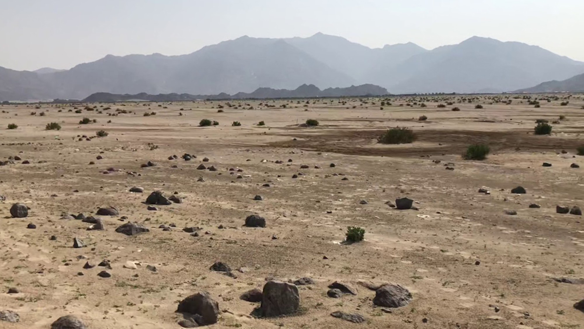 المغمس
