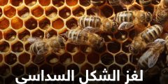 النحل والشكل السداسي