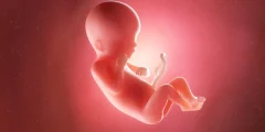 الرقية الشرعية لتثبيت الحمل وحفظ الجنين